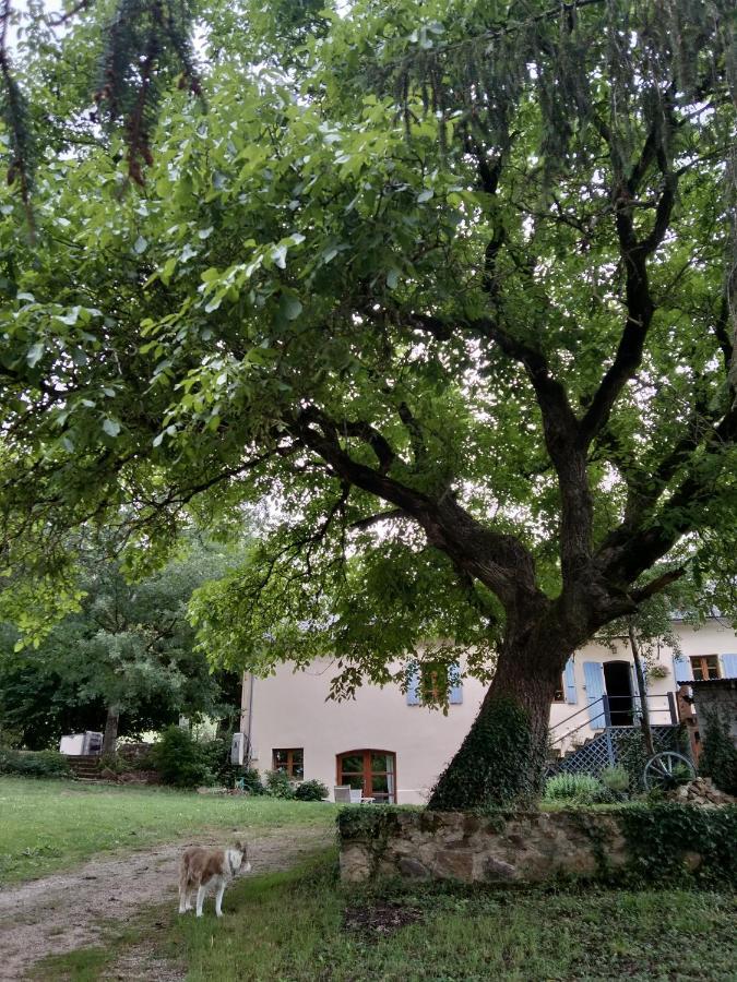 Combecave Acomodação com café da manhã Vabre-Tizac Exterior foto